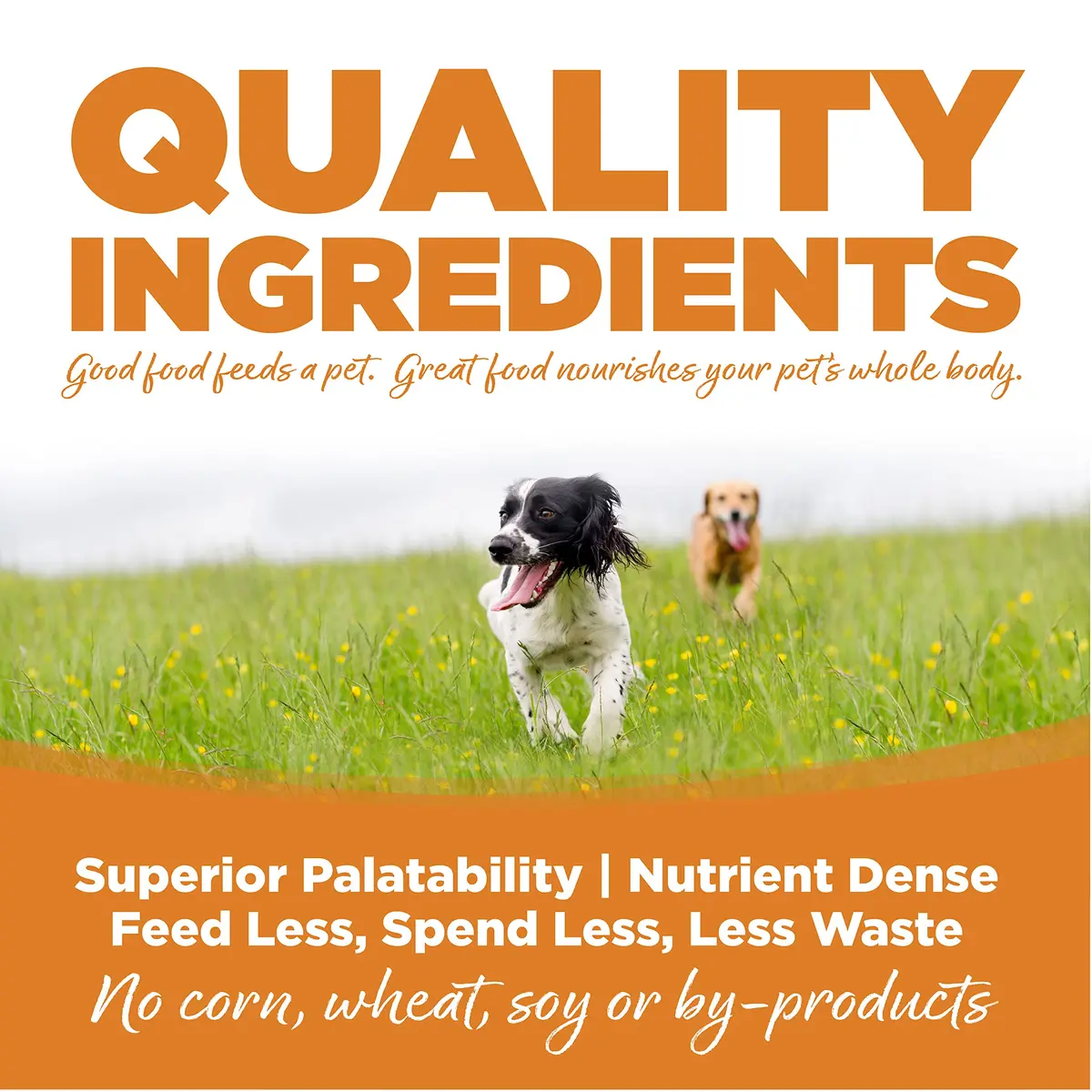NutriSource Adult Dry Dog Food, Lamb Meal & Rice, 26 lb | Supports Muscle & Digestion - view 3