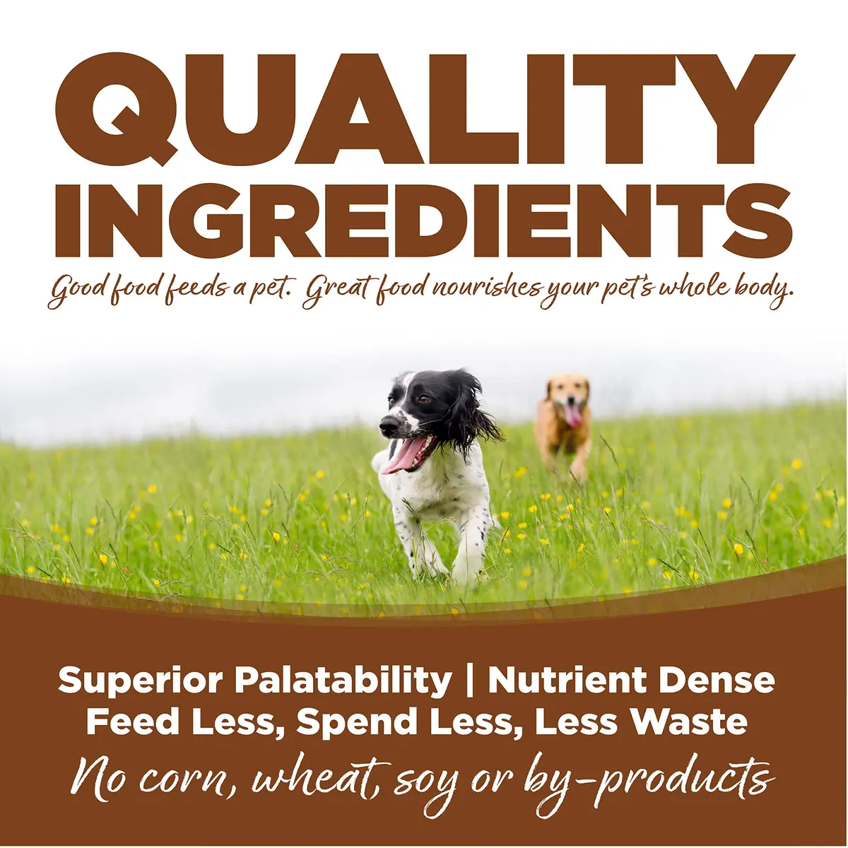 NutriSource Large Breed Lamb & Rice Dog Food 26 Pound | Probiotics & Balanced Nutrition for Large Dogs - view 3