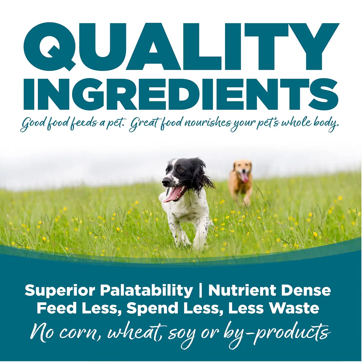 NutriSource Adult Chicken & Rice Dog Food, 26 lb | Supports Digestion & Long Life - view 3