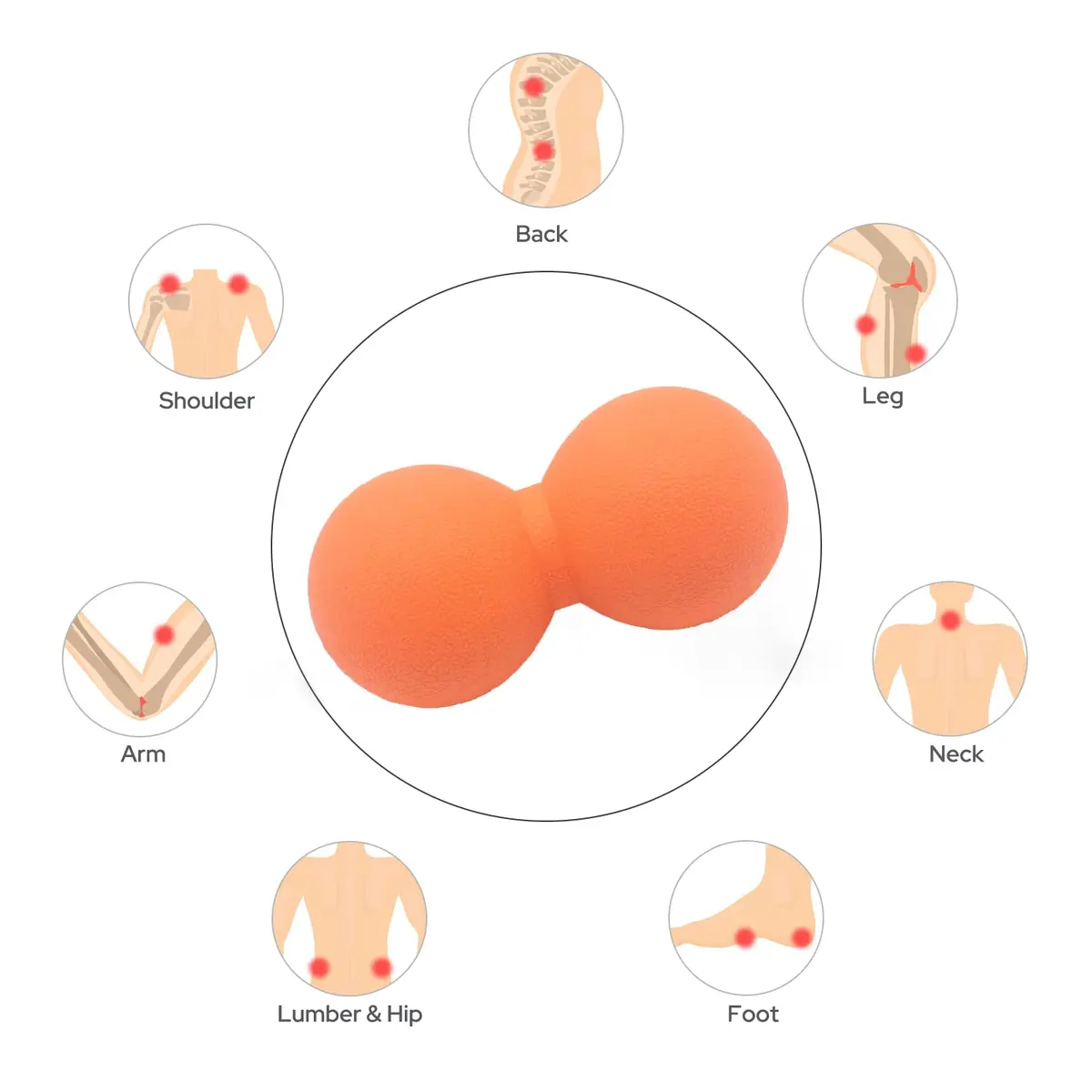 SIMPLECOOL Hard Peanut Massage Ball 12cm | Deep Tissue Trigger Point Relief - view 7