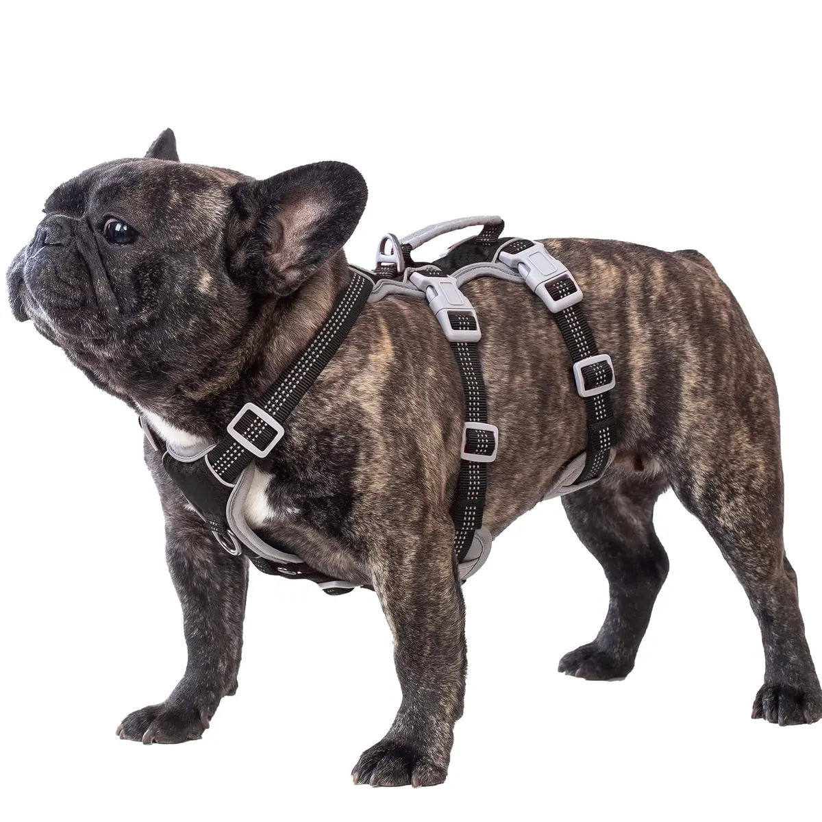 Huntboo Escape Proof Dog Harness, Reflective, Adjustable, Breathable, Padded Handle (Black, M) - main product image