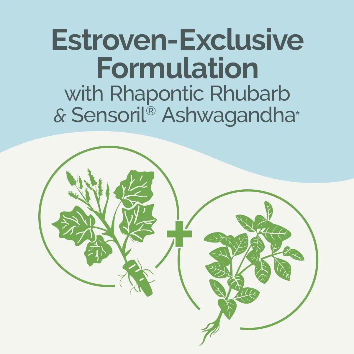 Estroven Complete + Ashwagandha Menopause Relief Caplets | Supports Hot Flashes & Night Sweats in Women - 4 Month Supply - view 5