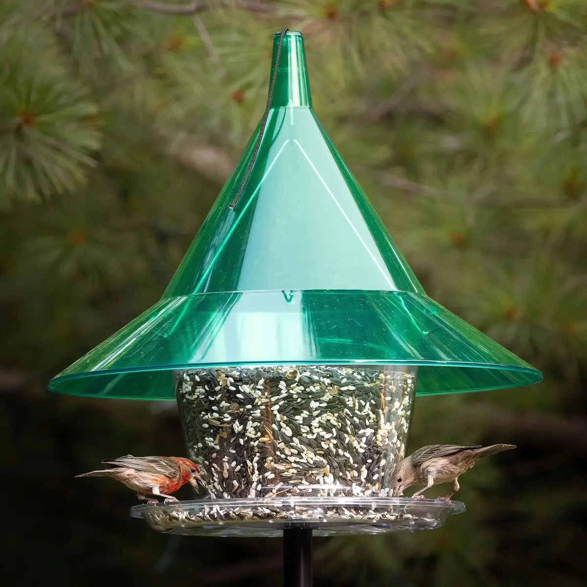 Sky Cafe Squirrel Proof Bird Feeder for Outside - Large, 17 in. Diameter, 1.5 Gallon Capacity | Durable, Made in USA - view 3