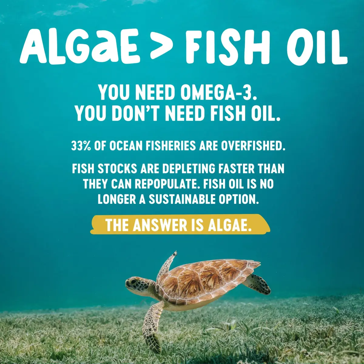Freshfield Ocean Saving Omega Algae Oil DHA Supplements 180 Count (180 Count) - view 5