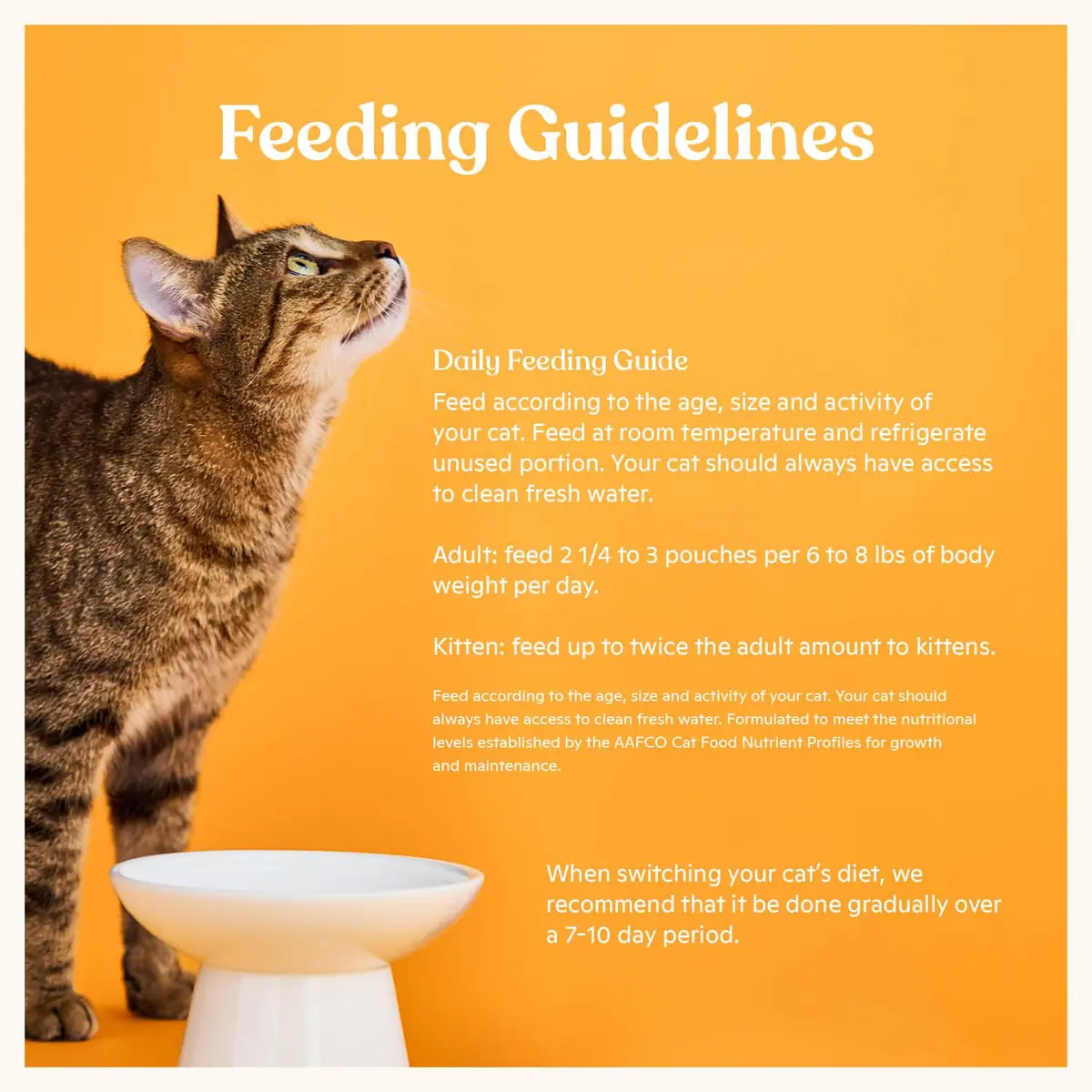 Made by Nacho Wet Cat Food, Cuts in Gravy, 36 Ounce | Limited Ingredients, Cage-Free Chicken & Bone Broth - view 5