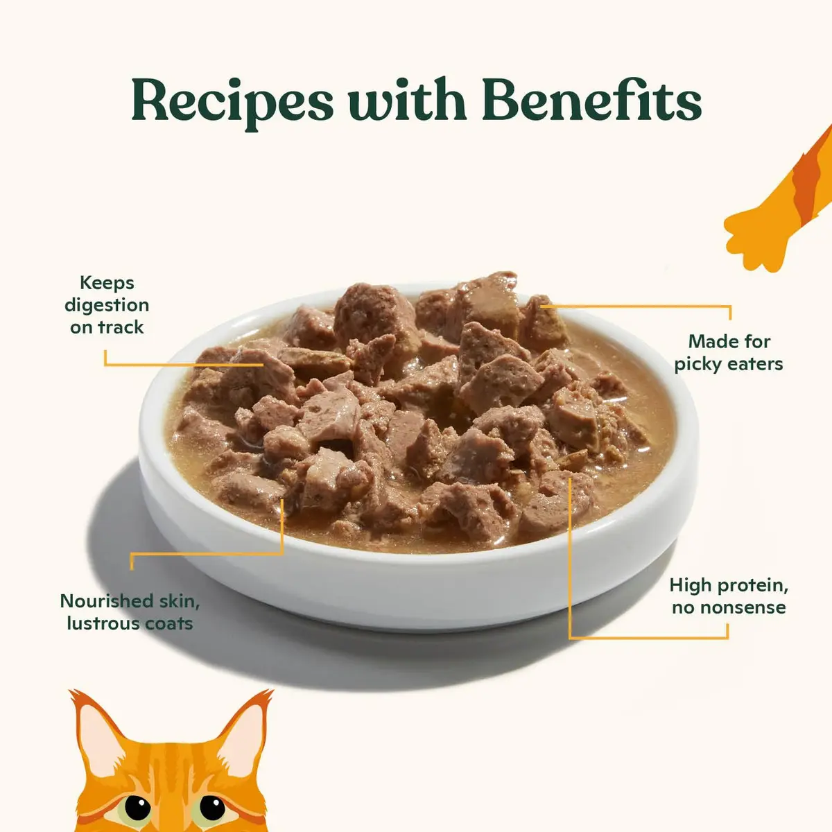 Made by Nacho Wet Cat Food, Cuts in Gravy, 36 Ounce | Limited Ingredients, Cage-Free Chicken & Bone Broth - view 2