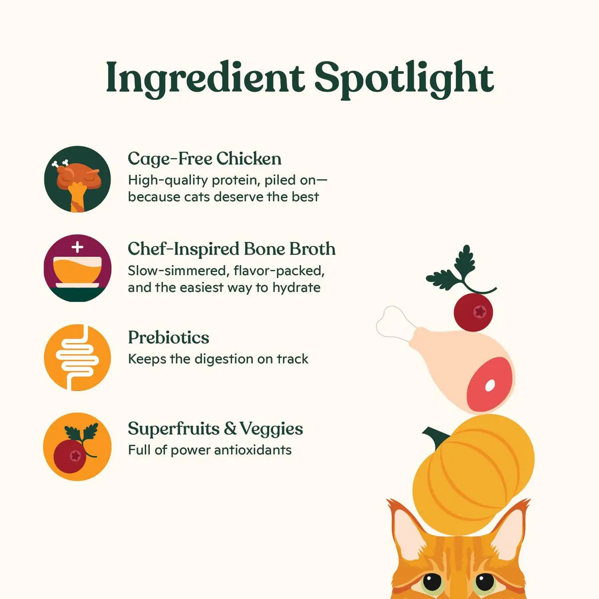 Made by Nacho Wet Cat Food, Cuts in Gravy, 36 Ounce | Limited Ingredients, Cage-Free Chicken & Bone Broth - view 3
