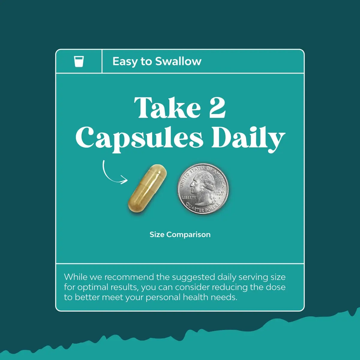 Natures Craft Liver Support Capsules with Milk Thistle & Choline | 2 Pack, 120 Capsules | Supports Liver & Detox - view 5