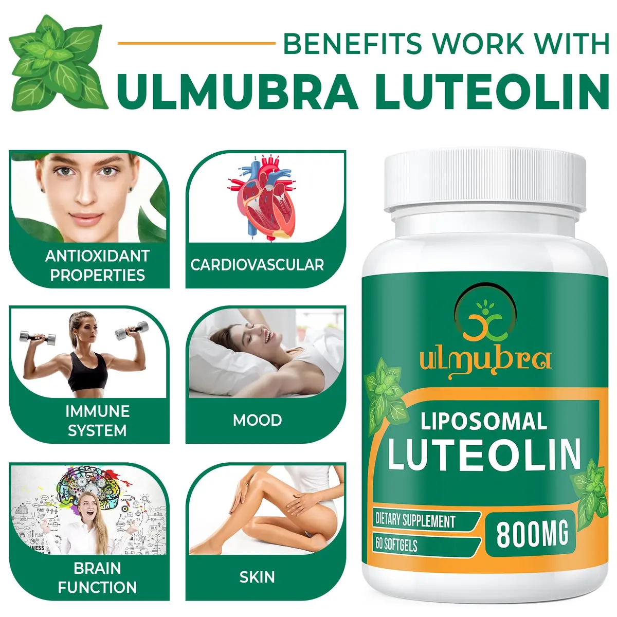 Ulmubra Liposomal Luteolin 800MG | Premium Antioxidant for Brain & Well-Being - view 4