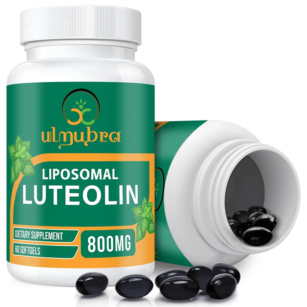 Ulmubra 800 MG Liposomal Luteolin Supplement | Maximum Absorption & Antioxidant Support for Brain & Well-Being, 60 Softgels - main product image