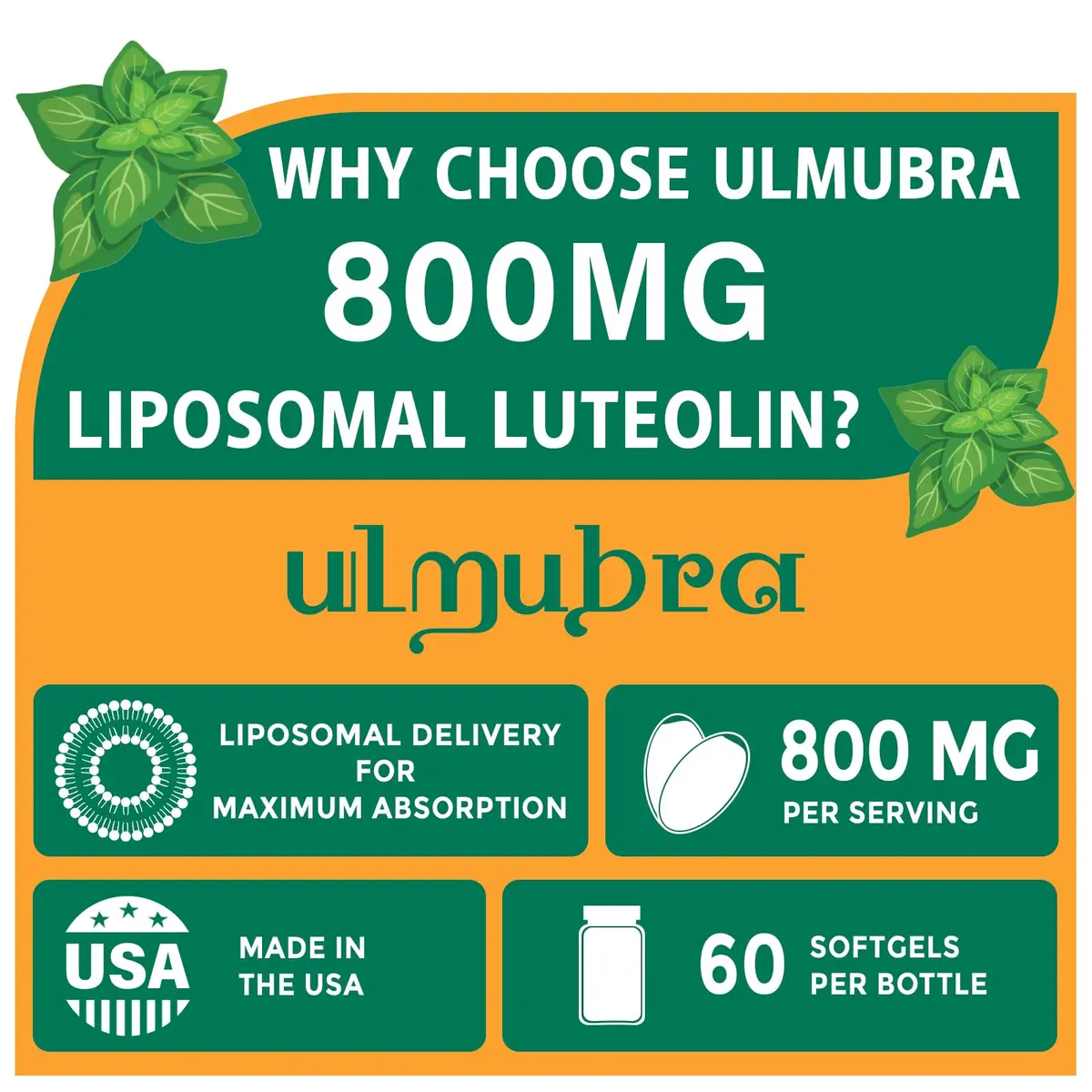 Ulmubra 800 MG Liposomal Luteolin Supplement | Maximum Absorption & Antioxidant Support for Brain & Well-Being, 60 Softgels - view 2