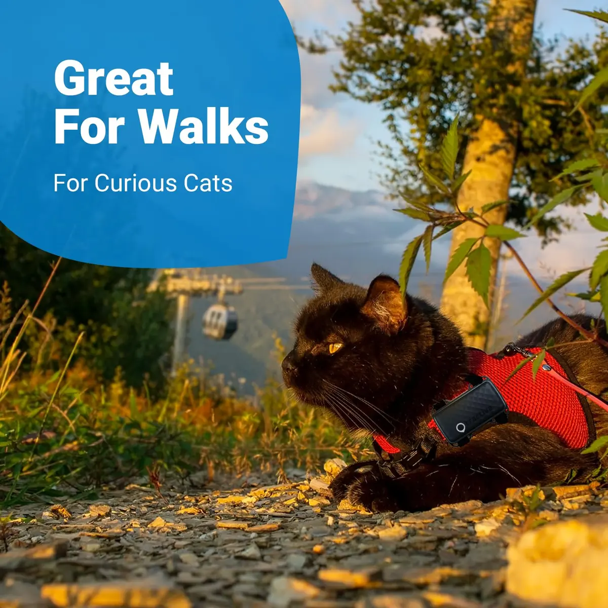 Tractive GPS Cat Mini Tracker Harness Attachment | Velcro Straps for Secure Cat Walks - view 5