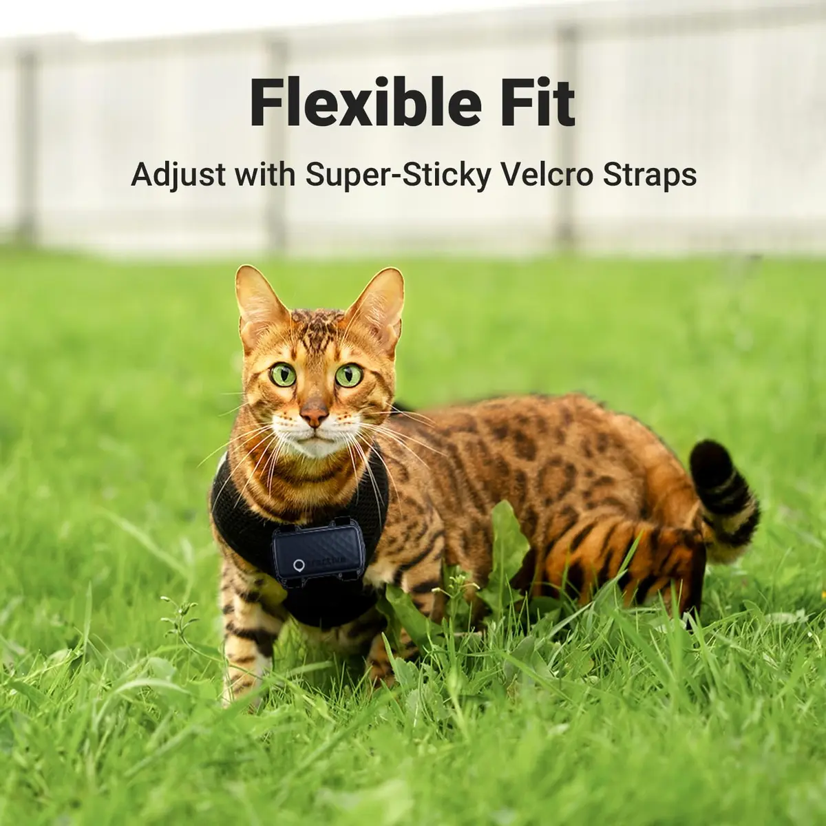 Tractive GPS Cat Mini Tracker Harness Attachment | Velcro Straps for Secure Cat Walks - view 3