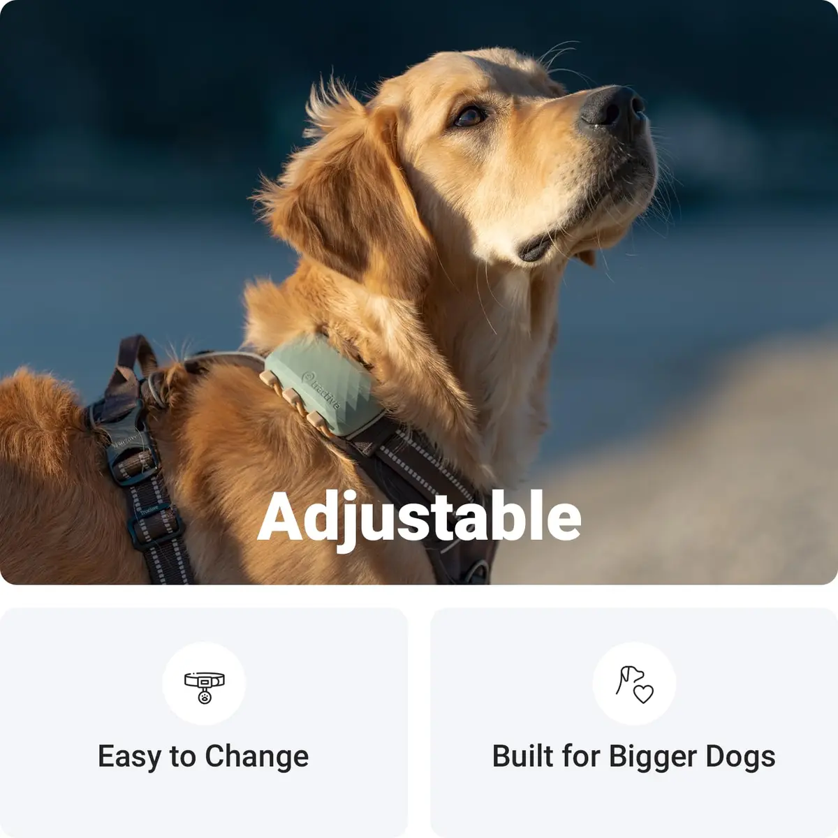 Tractive GPS Dog XL Tracker Rubber Attachment Clips (Pack of 3) | Fits Collars Up to 1.6 Inches Wide - view 3