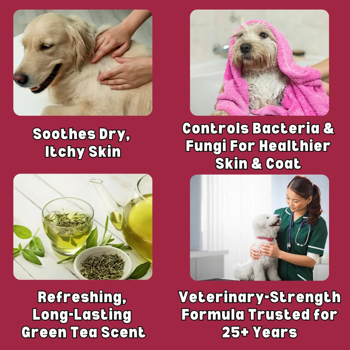 Showseason Soothe Itch Relief Pet Shampoo for Dogs & Cats 16 oz. | Antiseptic | Cools Red, Inflamed Skin | Made in USA - view 3