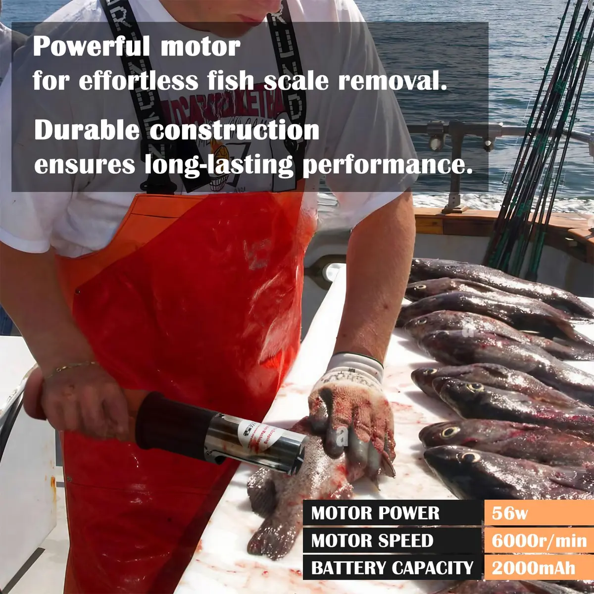 ROEDEER Fish Scaler Electric Cordless 12V | Efficient Fish Scale Removal Tool - view 2