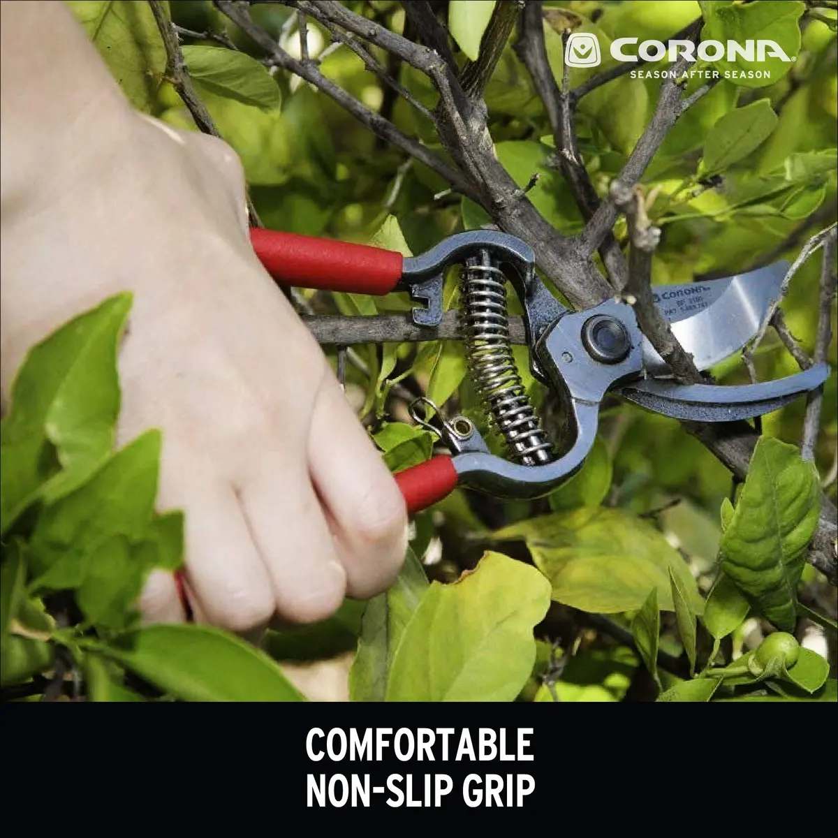 Corona Clipper Garden Shear Scissor | Forged Steel Bypass Pruner & Japanese Weeding Knife - view 4