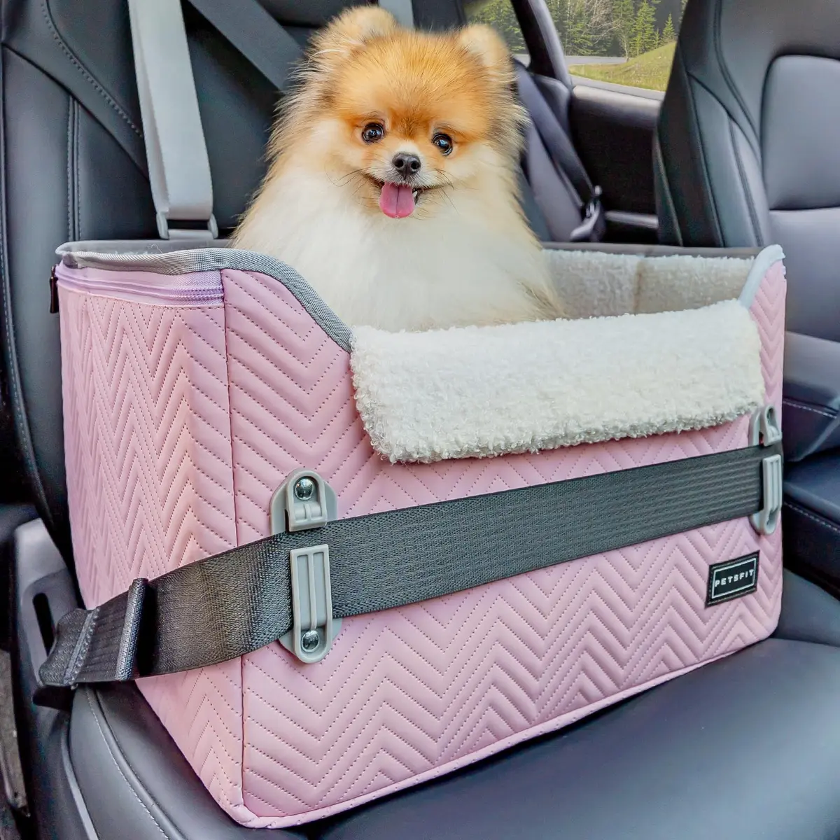 Petsfit Dog Car Seat for Small Dogs 16"L x 13"W x 11"H | Portable, Adjustable & Safe (Light Pink) - main product image