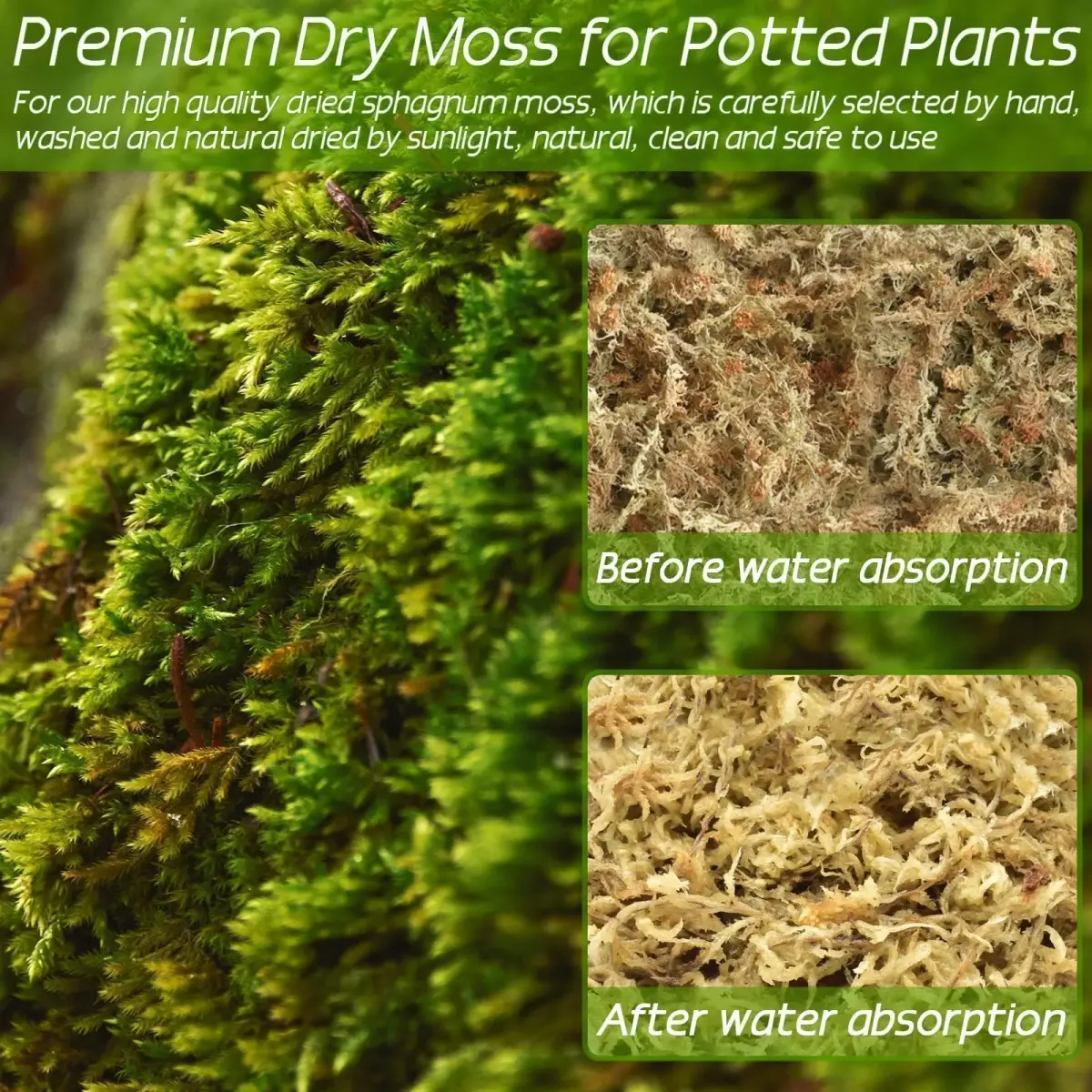 ZeeDix Premium Sphagnum Moss Bulk 2.2 lb (998g) | Natural Long Fiber for Plants & Reptiles - view 5