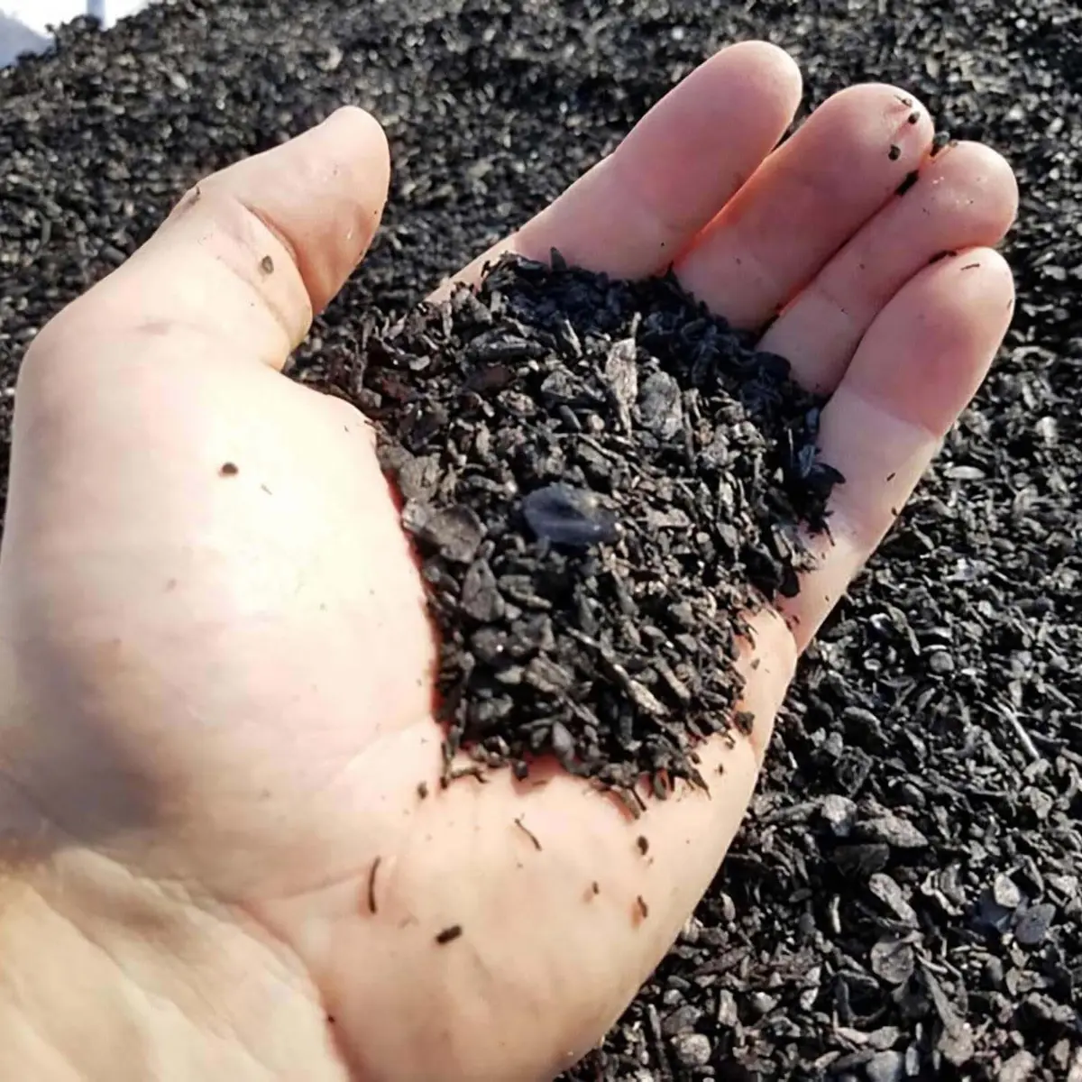 plantonix Char Bliss 24 Qts Organic Biochar Soil Amendment | Carbon-Negative Soil Conditioner - view 7
