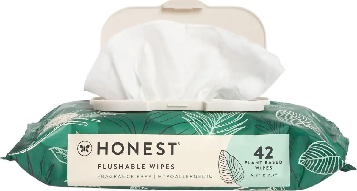 The Honest Company Flushable Wipes Hypoallergenic 42 Count | Dermatologist Tested for Sensitive Skin - main product image