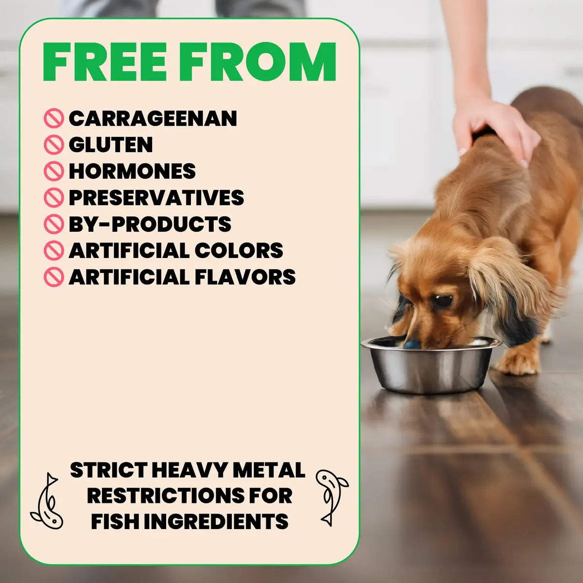 almo nature HQS Natural Wet Dog Food Chicken Fillet, 5.5oz Pack of 12 | Grain Free & Additive Free - view 3