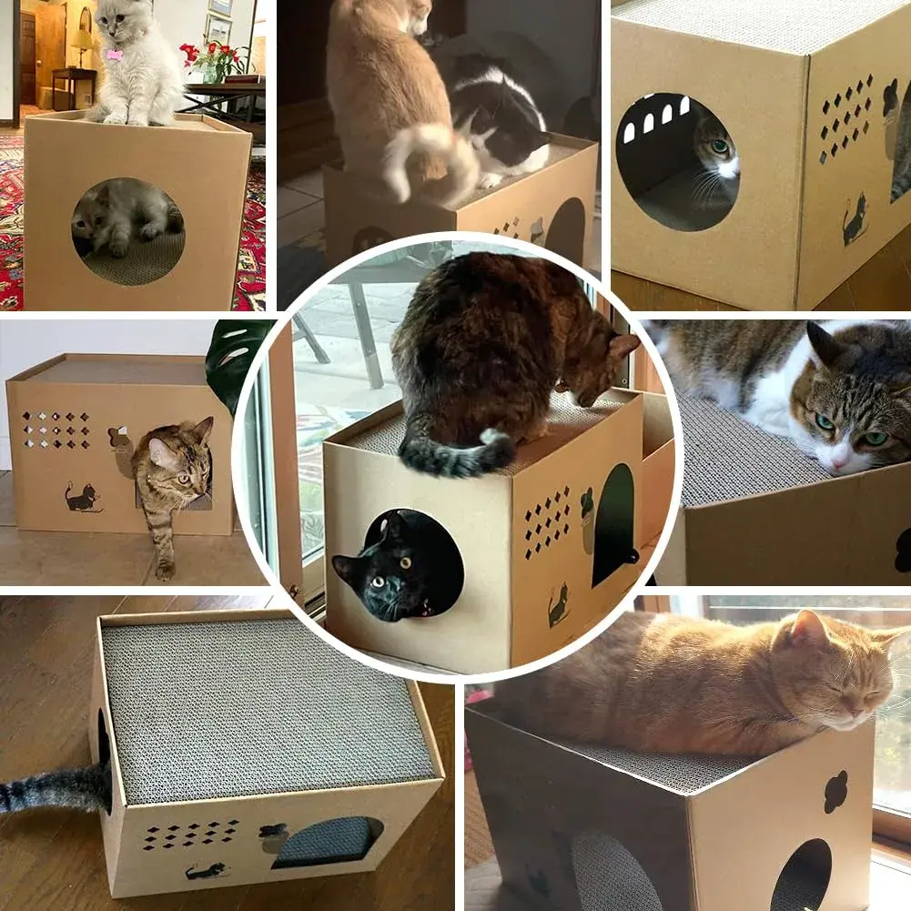 ARGOPET Cactus Cat Cardboard House with 2 Scratching Pads 30.1 cm (11.8 in) | Recycled Corrugated Board Villa for Indoor Cats - view 2