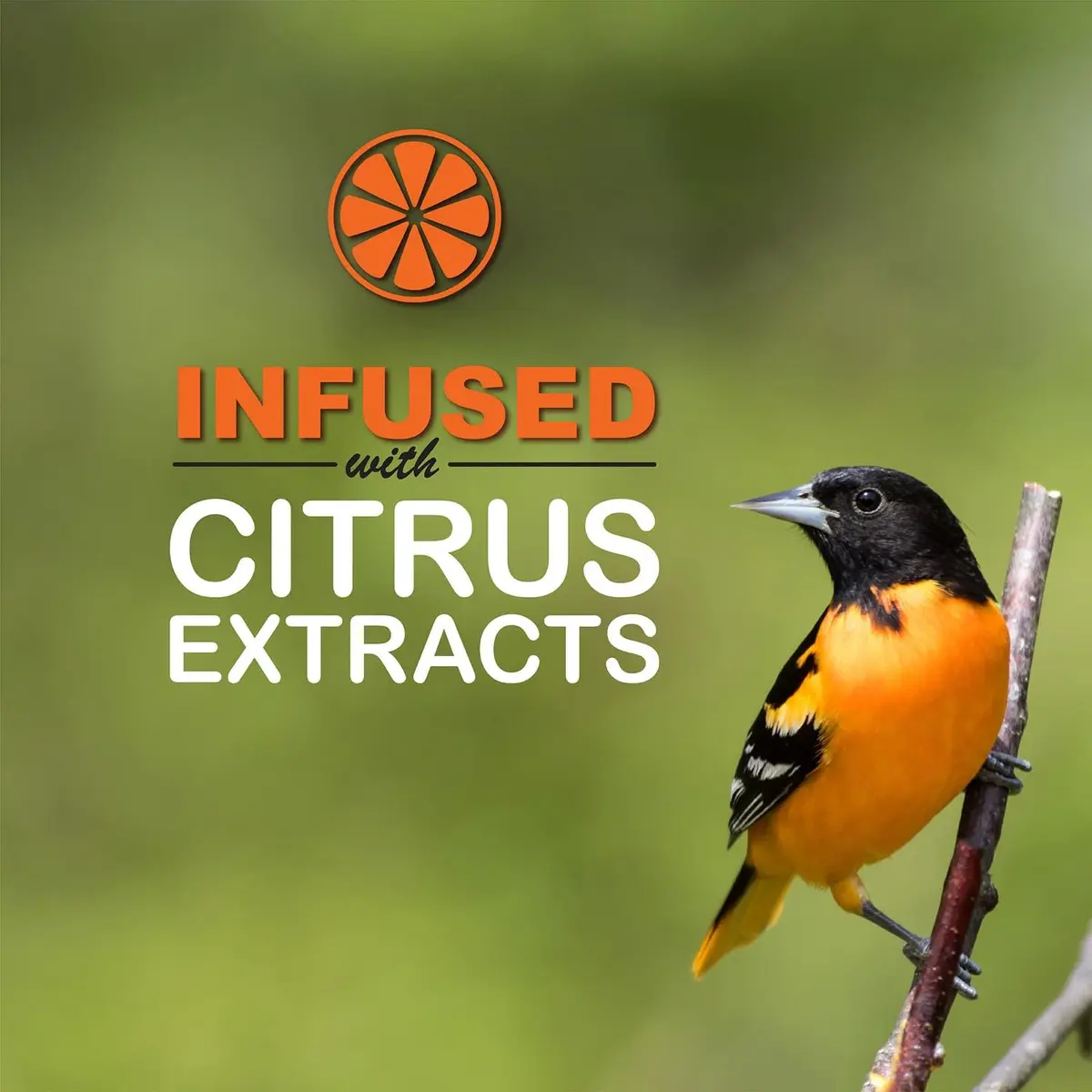 sweet-seed Oriole Nectar 250mL | Ready to Use, Extends Nectar Life for Orioles in India - view 5
