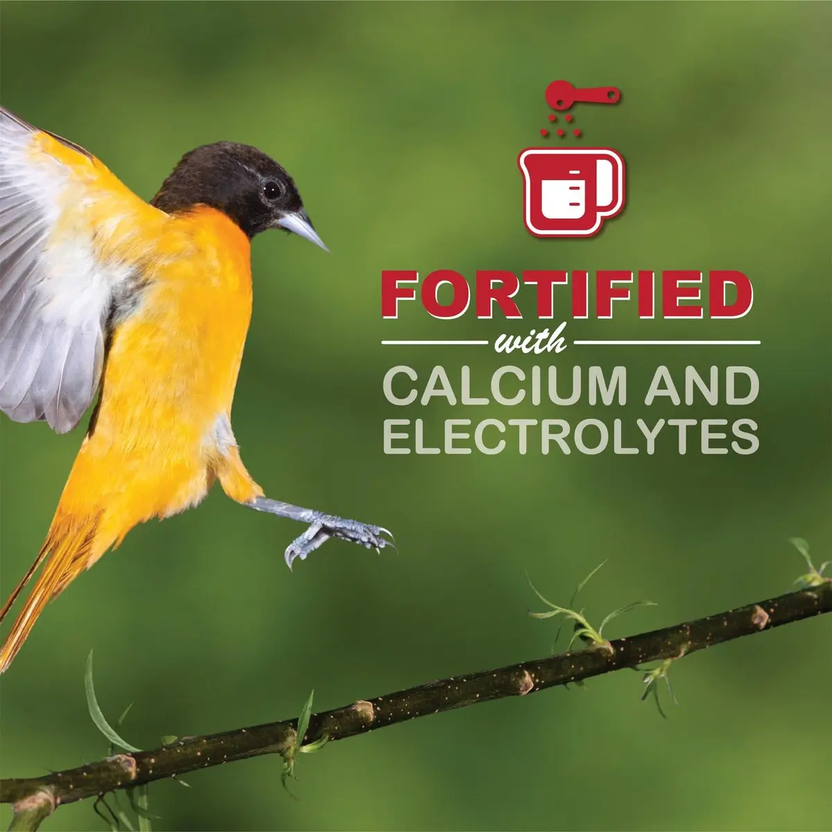 sweet-seed Oriole Nectar 250mL | Ready to Use, Extends Nectar Life for Orioles in India - view 6