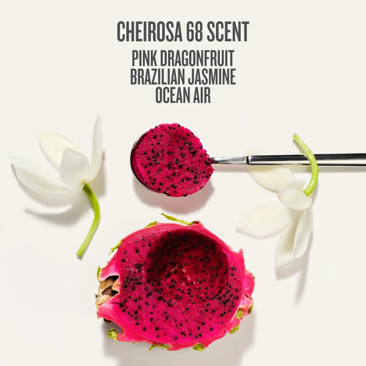 Sol de Janeiro Rio Deo - Refillable Aluminum Free Deodorant 2 Oz | Cheirosa 68 Scent, Vegan & Baking Soda Free - view 5