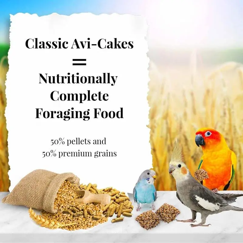 LAFEBER'S Classic Avi-Cakes Pet Bird Food 16 oz (454 g) | Non-GMO & Human-Grade Ingredients for Small Birds - view 2