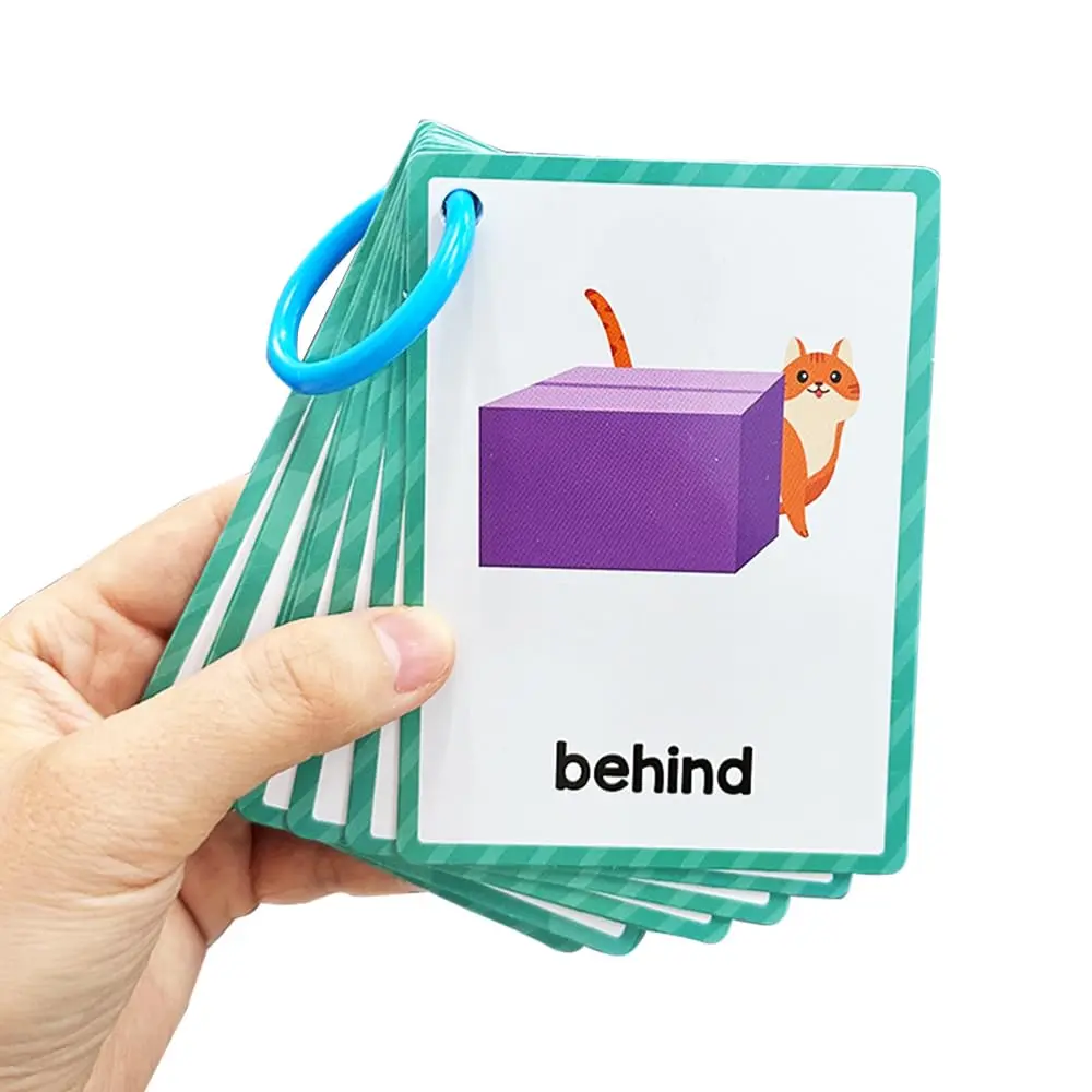 Lachilly Prepositions Flashcards 10 Cards (8 X 11 cm) | Kindergarten Vocabulary Building - view 7