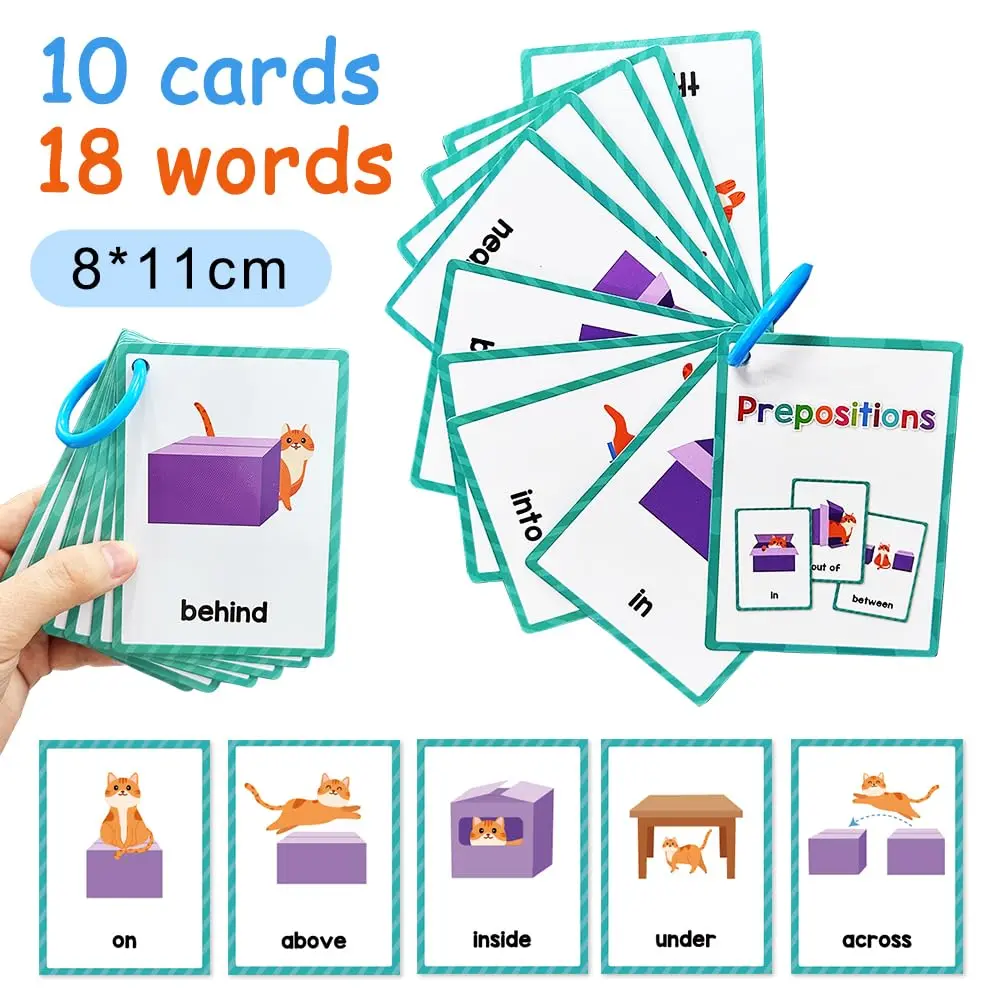 Lachilly Prepositions Flashcards 10 Cards (8 X 11 cm) | Kindergarten Vocabulary Building - view 8