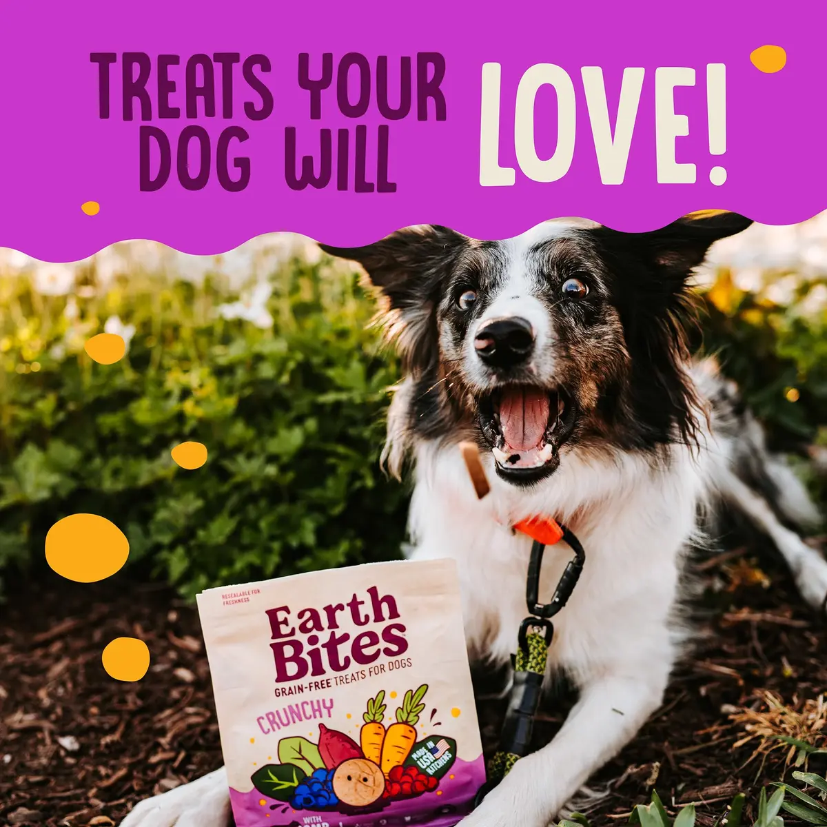 Earthborn Holistic EarthBites Grain-Free Dog Treats with Lamb 10 oz | Crunchy, Healthy & Made in USA - view 8