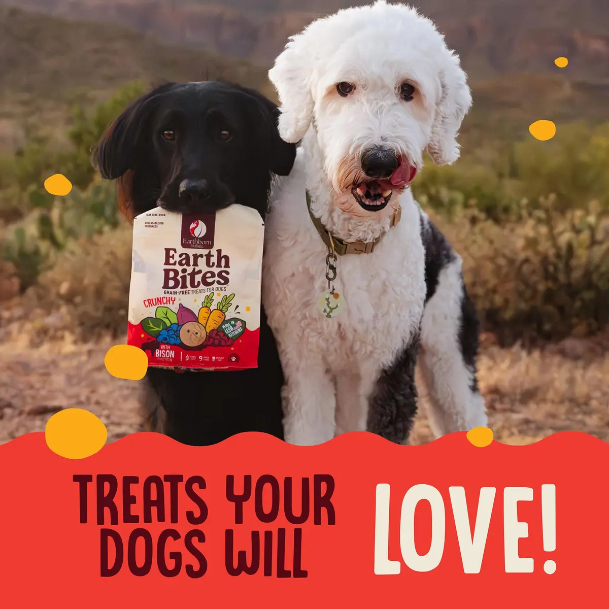 Earthborn Holistic EarthBites Grain-Free Dog Treats with Bison 10 oz | Crunchy, Healthy & Tartar-Reducing - view 8