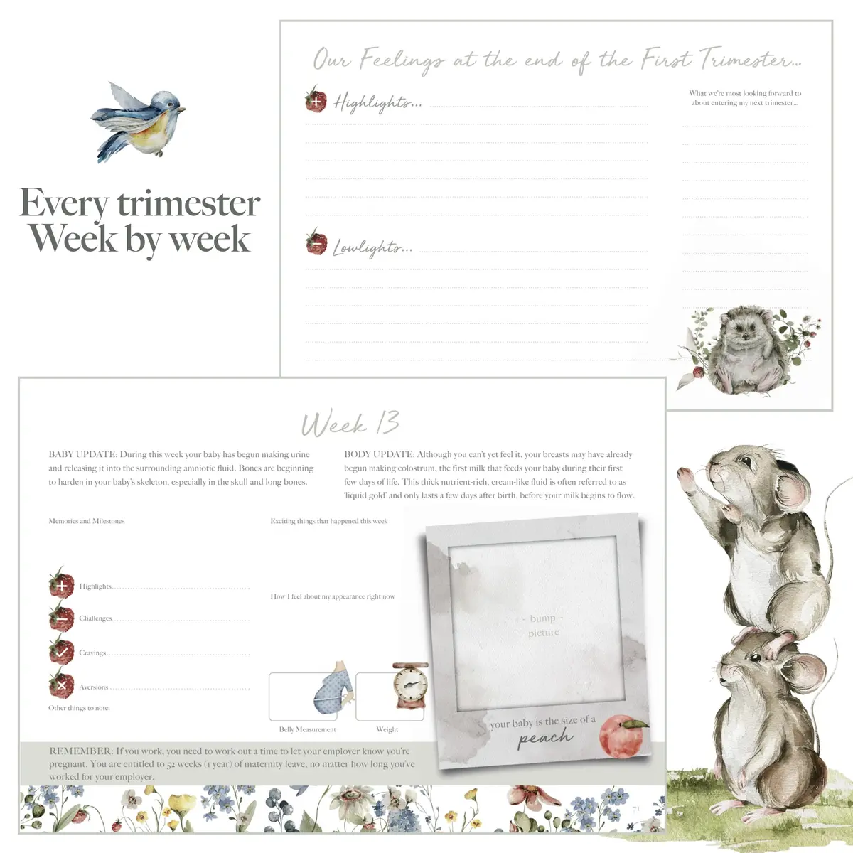 Bibi & Beau Woodland Pregnancy Journal 196 Pages | Weekly Pregnancy Planner & Scrapbook - view 9