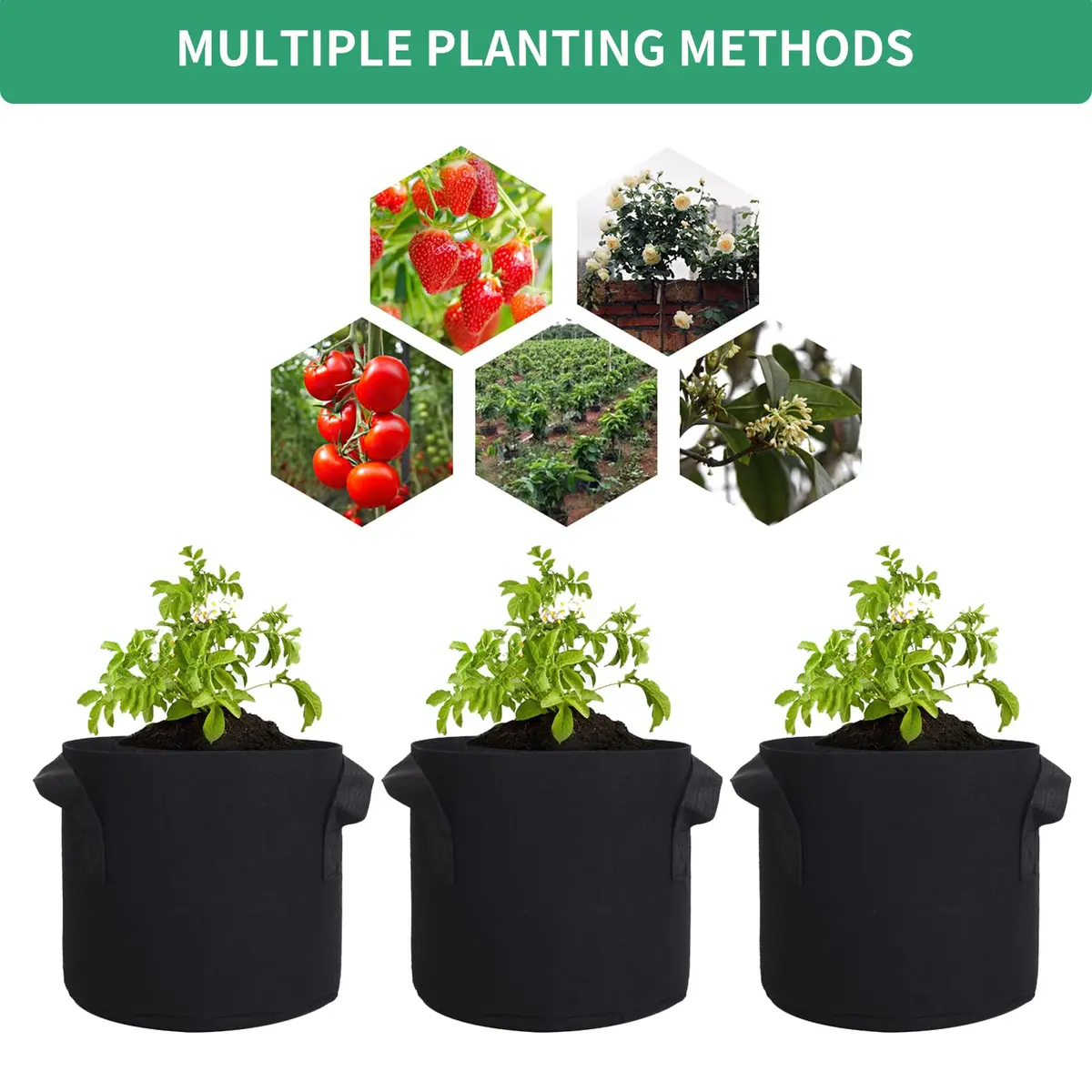 SILKIR Grow Bag 5-Pack | Black 10 Gallon Heavy Duty Fabric Pots for Gardening Applications with Handles - view 4