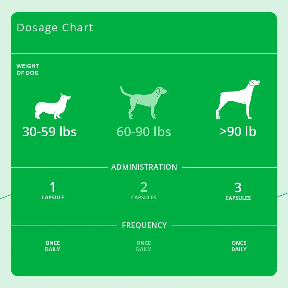 Eicosa3FF SnipCaps Omega 3 Capsules for Dogs Large 60 ct | Supports Skin & Coat - view 4