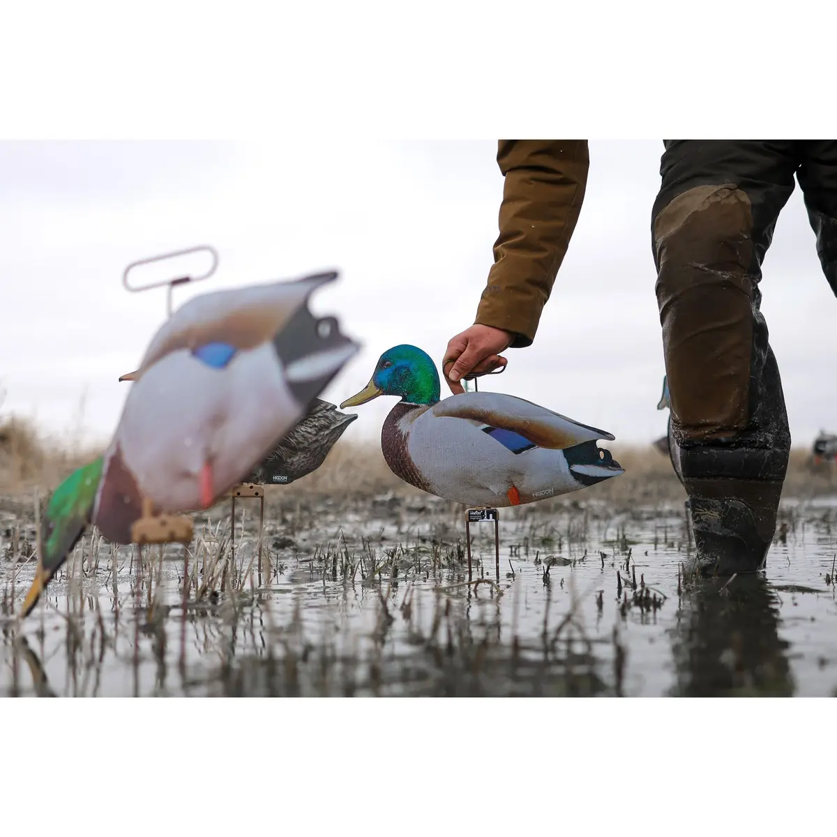 Higdon Outdoors Flats | Mallard Duck Silhouette Decoys for Waterfowl Hunting | Lightweight Weather Resistant 12 Pack - view 6
