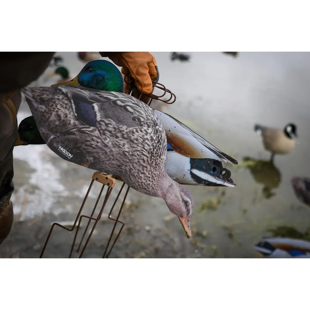 Higdon Outdoors Flats | Mallard Duck Silhouette Decoys for Waterfowl Hunting | Lightweight Weather Resistant 12 Pack - view 8