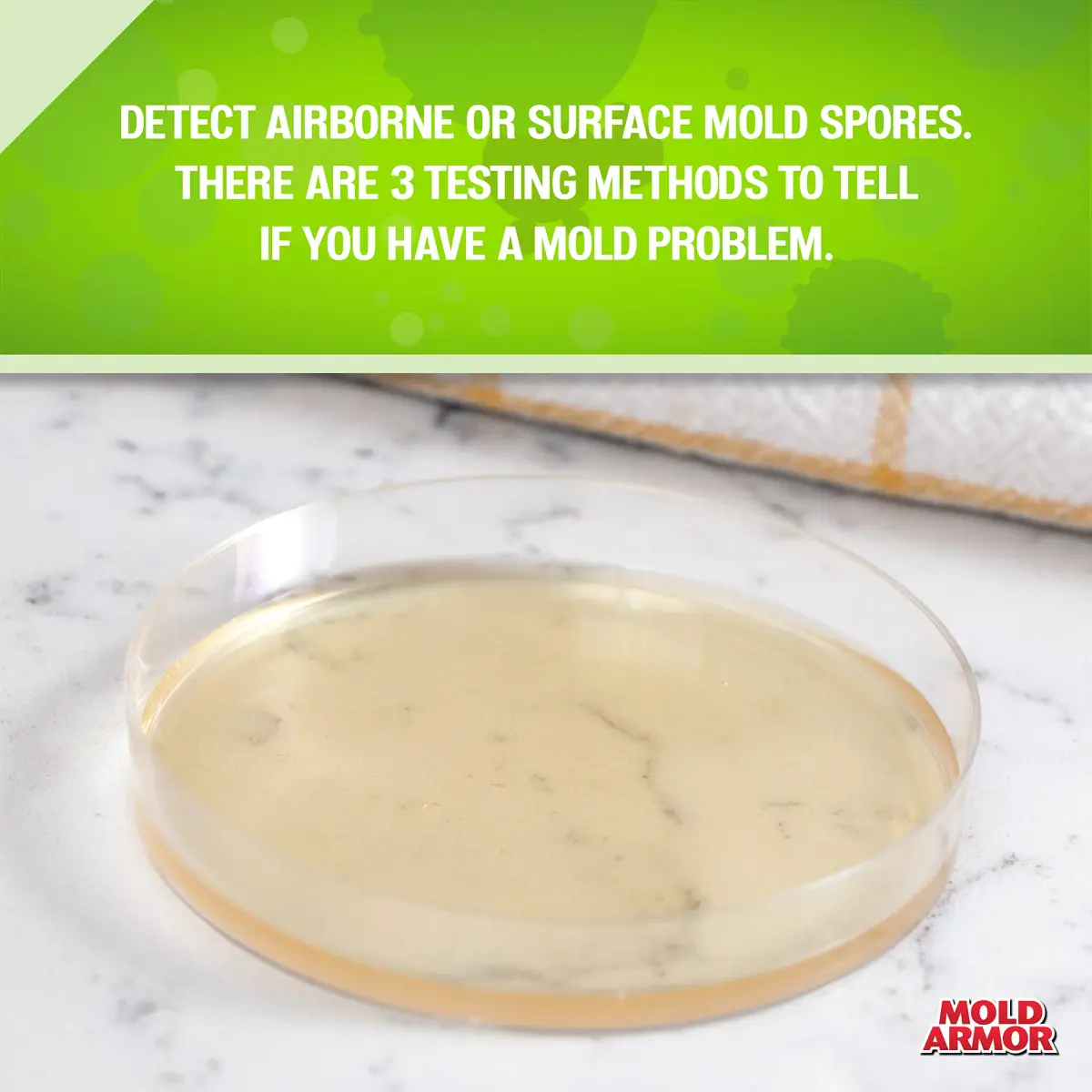 Mold Armor FG500 DIY Mold Test Kit, Gray (Pack of 2) | Test for Mold Fast in 48 Hours - view 3