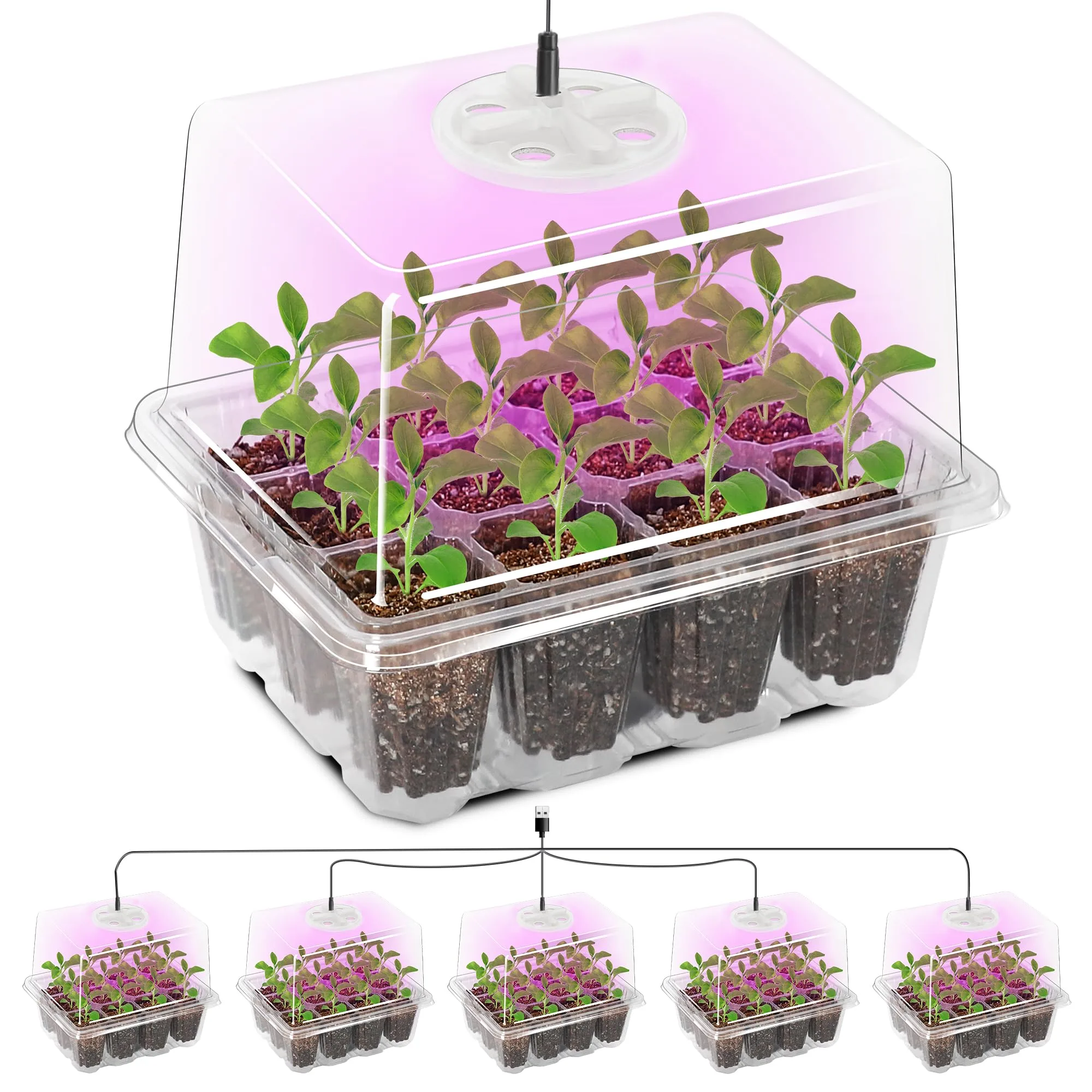Planter
