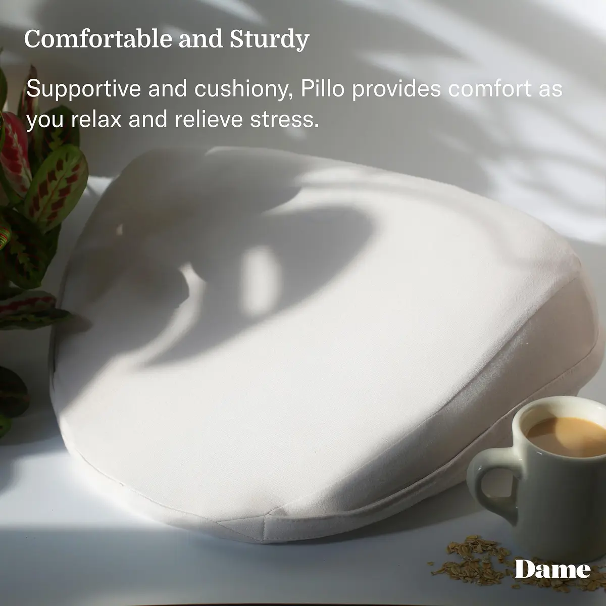 Dame Products Pillo Bed Wedge Pillow for Legs, Knees & Back | Supportive, Washable, 15x18x7 in - view 3