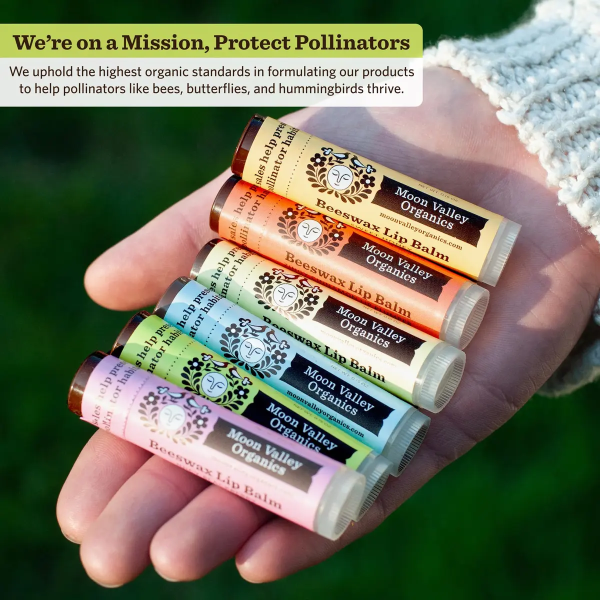Moon Valley Organics Beeswax Lip Balm, Tropical Coconut Lime, 4-Pack | Hydrating, Organic & Cruelty-Free - view 6