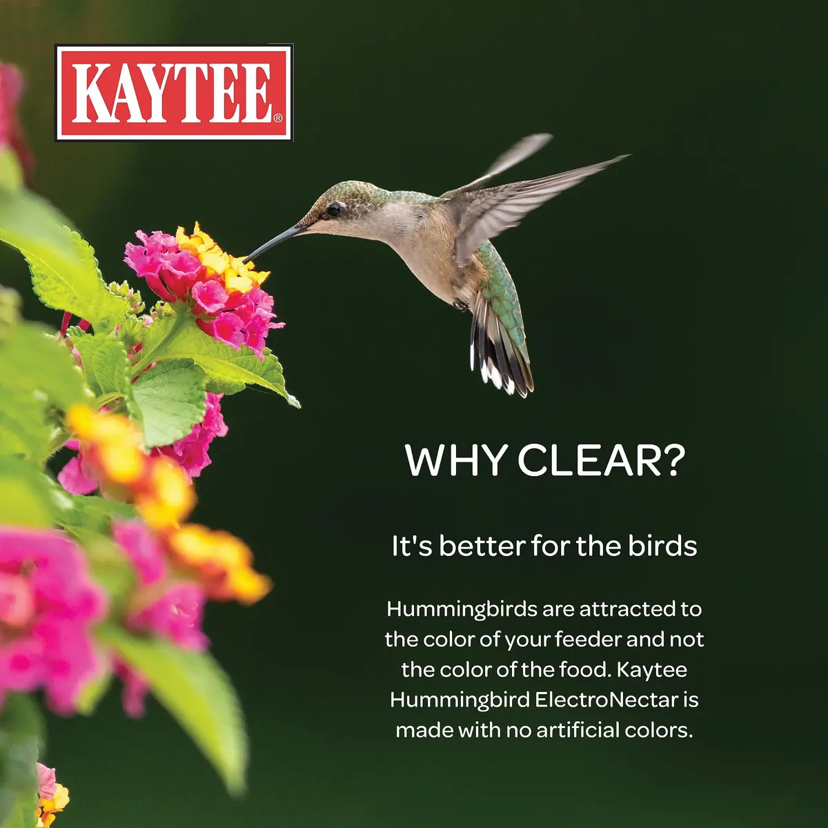 Kaytee ElectroNectar Wild Bird Food 16 Fl Oz | Electrolyte Concentrate for Hummingbirds - view 4