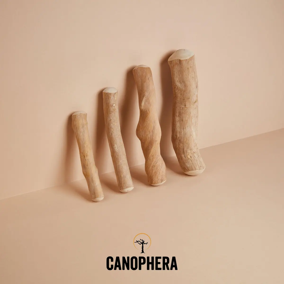 Canophera Dog CHEW Stick Made of Coffee Tree Wood 2 Pack | Natural Stress & Dental Support - view 6