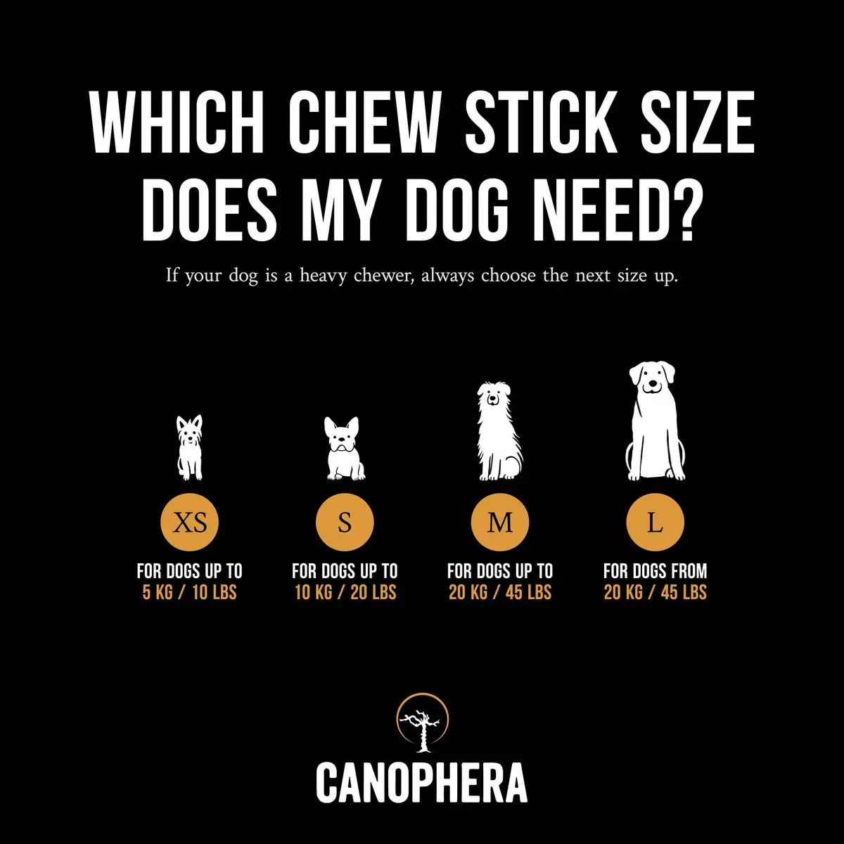 Canophera Dog CHEW Stick Made of Coffee Tree Wood 2 Pack | Natural Stress & Dental Support - view 4