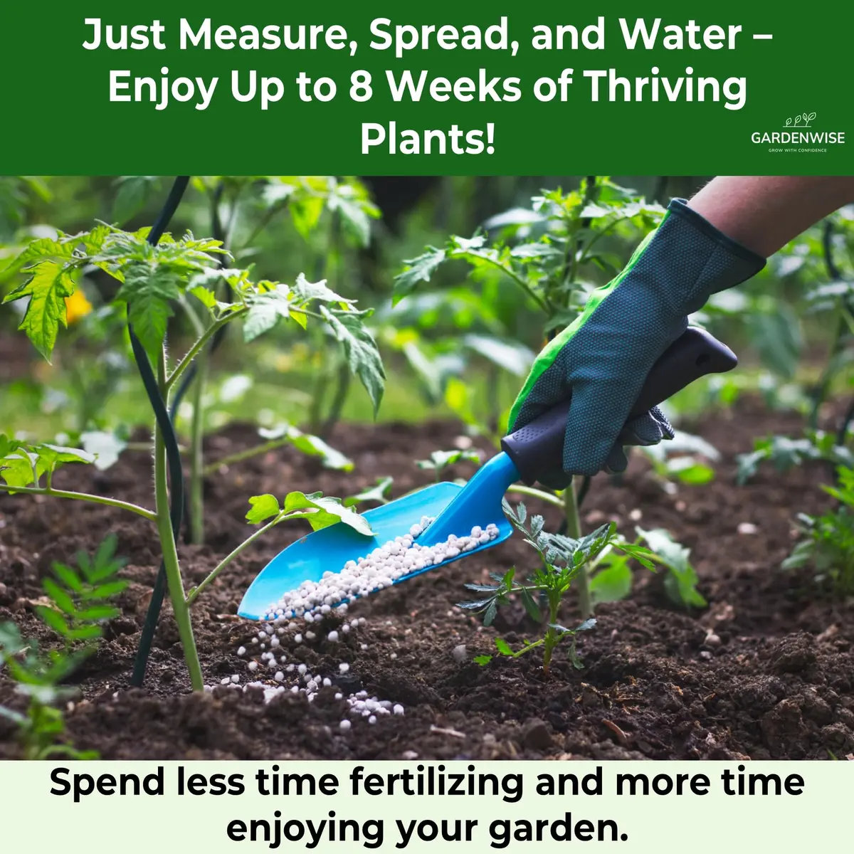 GARDENWISE 10-10-10 Plant Fertilizer 2 QUARTS | All-Purpose Granular Garden Fertilizer for Vegetables, Tomatoes, Roses, Trees - view 4