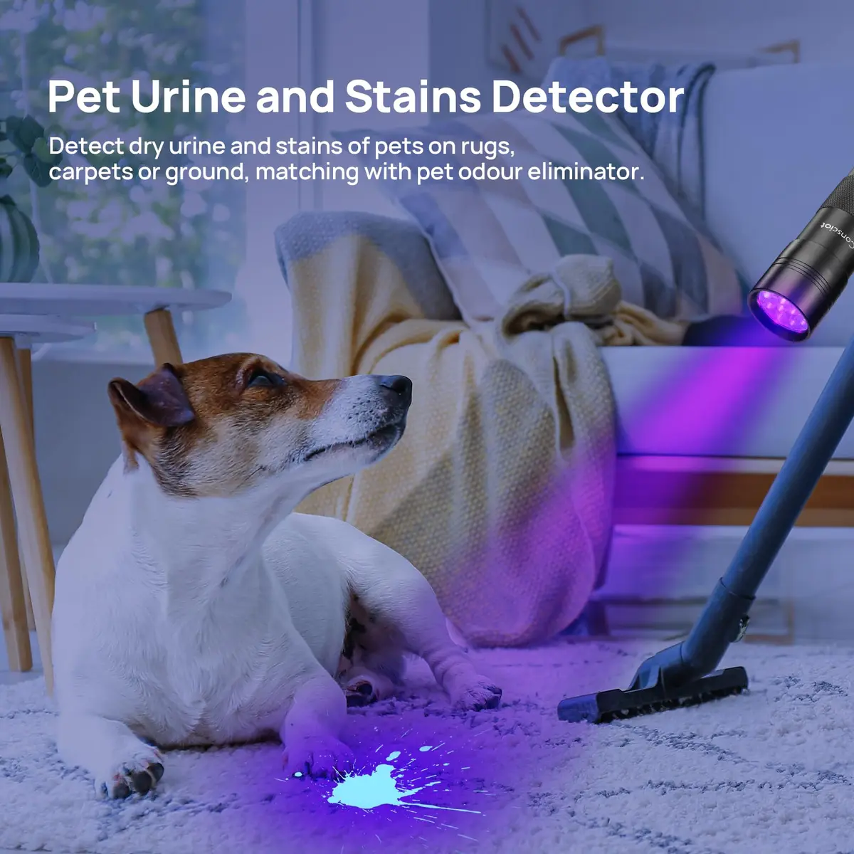 Consciot 2 Pack UV Blacklight Flashlight 12 LED 395nm | Pet Urine Detector for Dry Stains - view 3