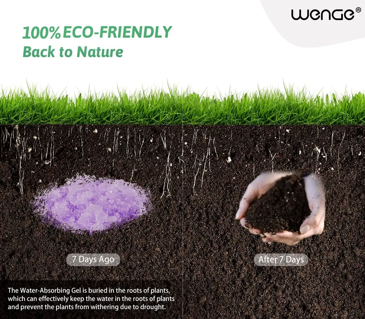 Wenge Urine Solidifier 32 Ounce | Fast Absorption & Odor Control for Camping & Outdoors - view 7